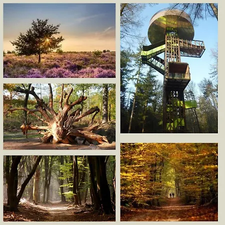 Шале Forest Veluwe With Private Hottub & Incl Wood! Пюттен