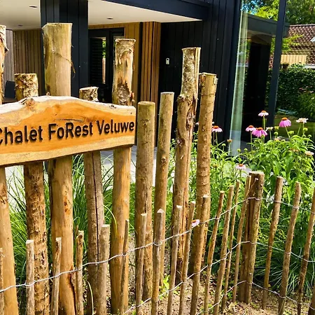 Forest Veluwe With Private Hottub & Incl Wood! * Пюттен