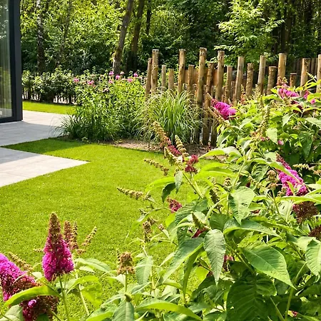 Forest Veluwe With Private Hottub & Incl Wood! * Пюттен