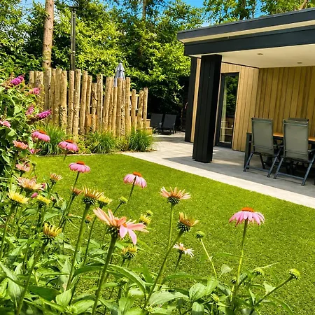 Forest Veluwe With Private Hottub & Incl Wood! * Пюттен