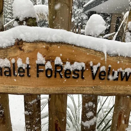 Chalet Forest Veluwe With Private Hottub & Incl Wood! *
