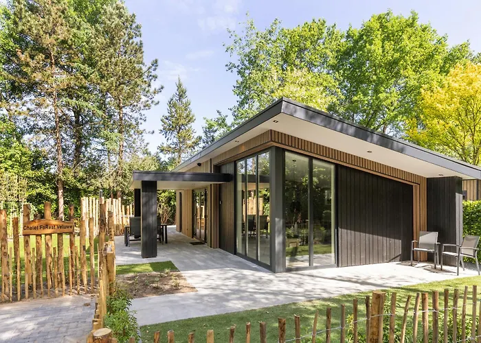 Forest Veluwe With Private Hottub & Incl Wood!