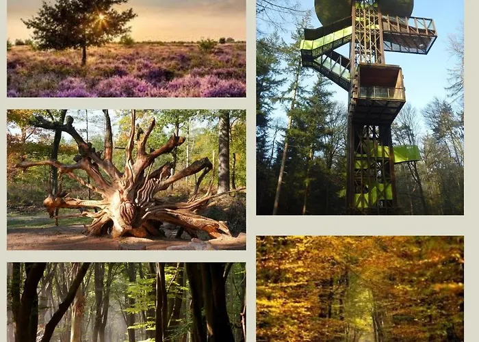 Domek alpejski Forest Veluwe With Private Hottub & Incl Wood! Putten