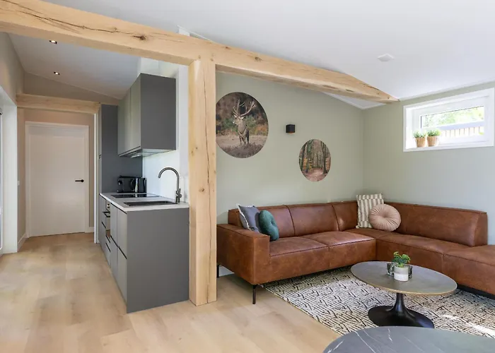 Chalet Forest Veluwe With Private Hottub & Incl Wood! *