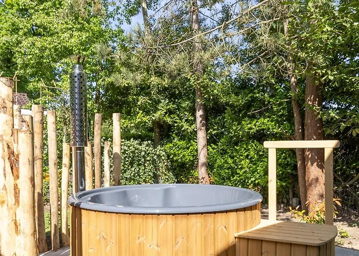 Forest Veluwe With Private Hottub & Incl Wood! *