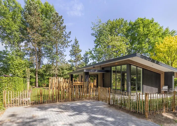 Forest Veluwe With Private Hottub & Incl Wood!